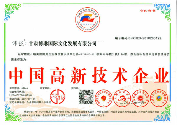 中國高新技術(shù)企業(yè)